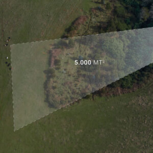 202507---Imagen-gráfica-Parcela-19